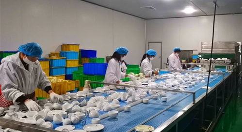 山東菏澤強化餐飲具衛生監管，筑牢群眾用餐安全防線